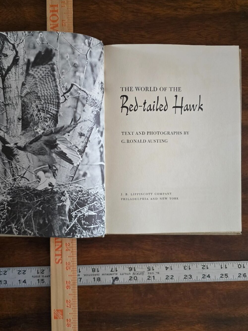 The World of the Red-tailed Hawk